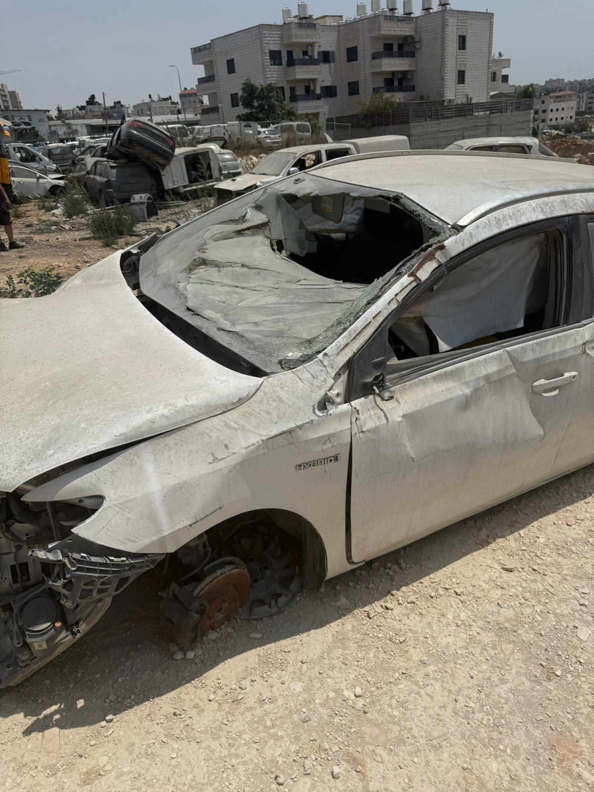 גלריה – תמונת וואטסאפ 2